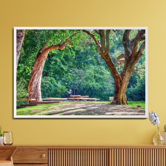 カルオステ・ガルベンキアン財団の庭園。 フォトプリント           