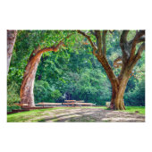 カルオステ・ガルベンキアン財団の庭園。 フォトプリント            (正面)