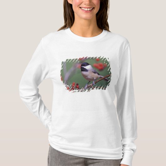 カルオリナチドリ Tシャツ (正面)
