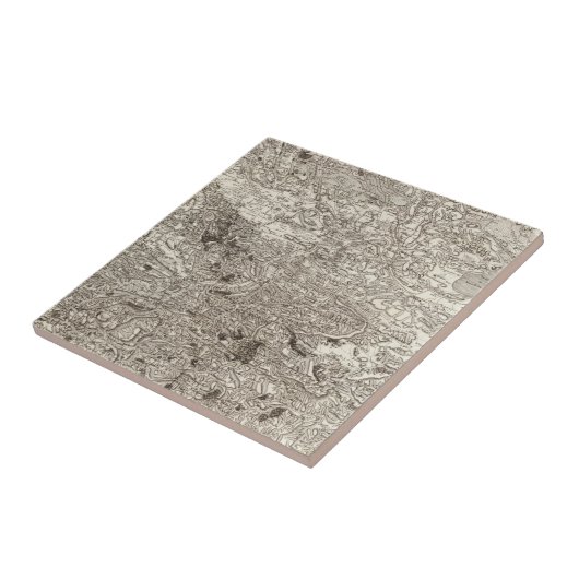 カルカソンヌ タイル (側面)