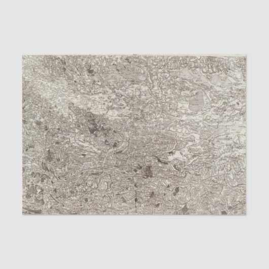 カルカソンヌ 薄葉紙 (正面)