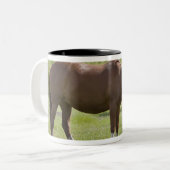 カルガリー、アルバータ、カナダ2 ツートーンマグカップ (正面左)