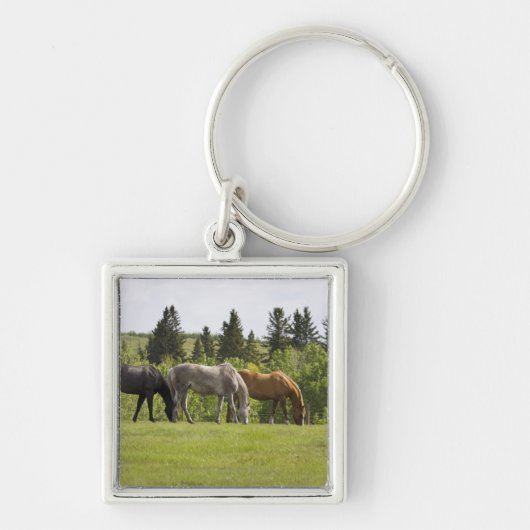 カルガリー、アルバータ、カナダ キーホルダー (正面)