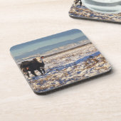 カルガリー、アルバータ、カナダ コースター (左側)