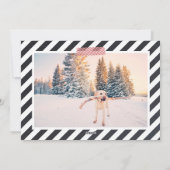 カルクボードレタリングホリデーフォトカード シーズンカード (裏面)