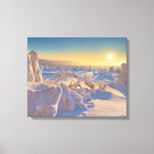 カルコノゼ山地、国立公園 キャンバスプリント (正面)