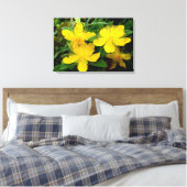 カルシウムハイコウ キャンバスプリント (インサイチュ (寝室))