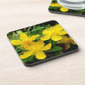 カルシウムハイコウ コースター (左側)