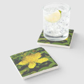 カルシウムハイコウ ストーンコースター (横)