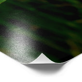 カルシウムハイコウ フォトプリント            (角)