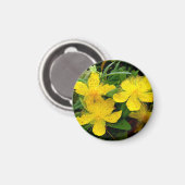 カルシウムハイコウ マグネット (正面/裏面)