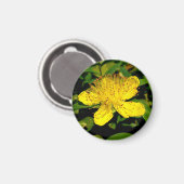 カルシウムハイコウ マグネット (正面/裏面)