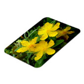 カルシウムハイコウ マグネット (左側)