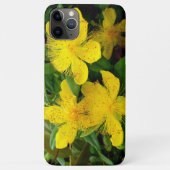 カルシウムハイコウ Case-Mate iPhoneケース (裏面)