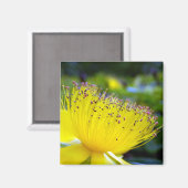 カルシウム過剰磁石 マグネット (正面/裏面)