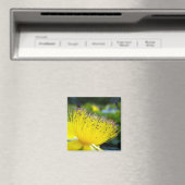 カルシウム過剰磁石 マグネット (インサイチュ (食洗機))