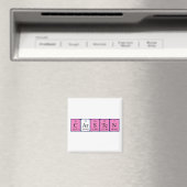 カルステン周期表名磁石 マグネット (インサイチュ (食洗機))