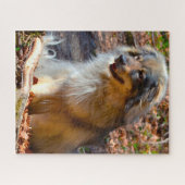 カルスト・シェパード・ドッグ。 ジグソーパズル (横)