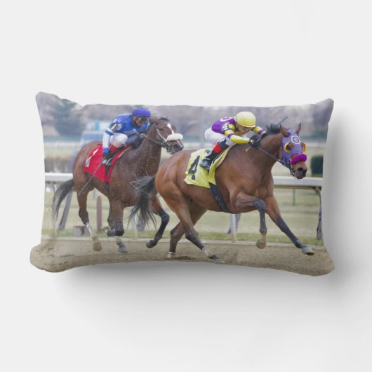 カルソン ランバークッション (正面)