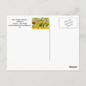 カルタオ郵便アルテブラシレイラ ポストカード (裏面)