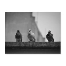 カルタオ郵便 – トレスポンボ（アベニダパウリスタ）|N°3