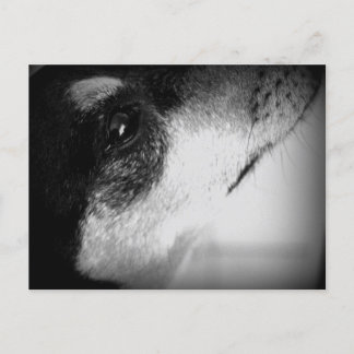 カルタオ郵便:トール ポストカード