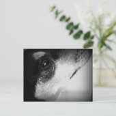 カルタオ郵便：トール ポストカード (スタンド正面)