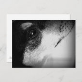 カルタオ郵便：トール ポストカード (正面/裏面)