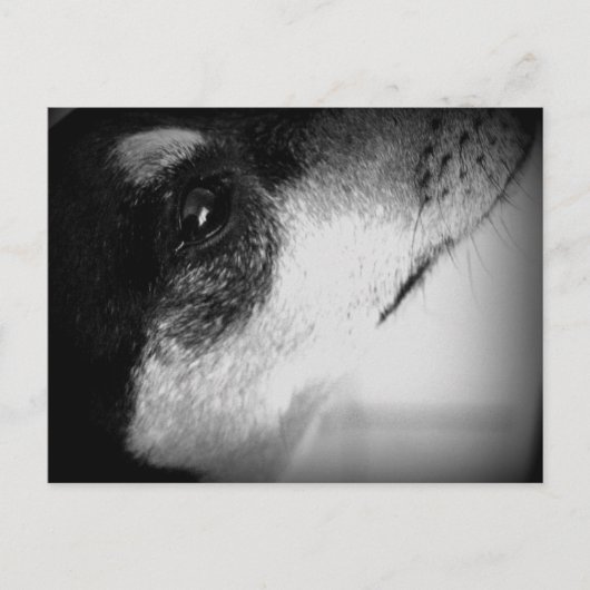 カルタオ郵便：トール ポストカード (正面)