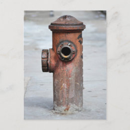 カルタオ郵便 – ヒラントヴィンテージ – サンパウロ|N°13 ポストカード