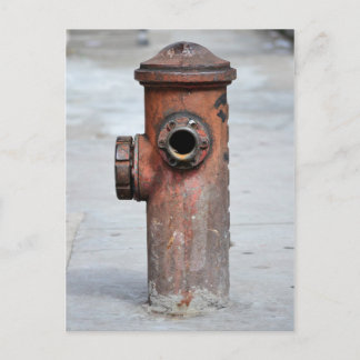 カルタオ郵便 – ヒラントヴィンテージ – サンパウロ|N°13 ポストカード