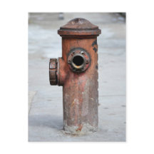 カルタオ郵便 – ヒラントヴィンテージ – サンパウロ|N°13