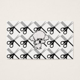 カルタオ・デ・ヴィシータ