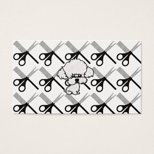 カルタオ・デ・ヴィシータ (正面)