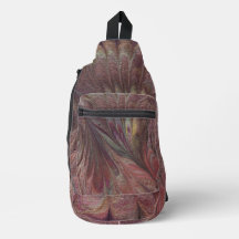 カルタフィオレンティーナ