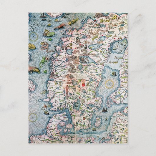 カルタマリーナ詳細スカンジナビア ポストカード (正面)