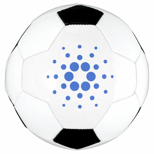 カルダノ ロゴ サッカーボール (正面)