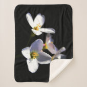 カルダミネ弁天症の花sbcnm シェルパブランケット (正面)