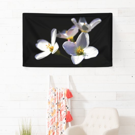 カルダミンプラテネシス花bnrcna 横断幕 (インサイチュ)