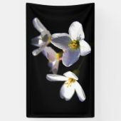 カルダミンプラテネシス花bnrcnm 横断幕 (縦)