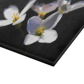 カルダミンプラテネシス花cbcna カッティングボード (角)