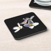 カルダミンプラテネシス花coastercna コースター (左側)