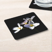 カルダミンプラテネシス花coastercna スクエアペーパーコースター (アングル)