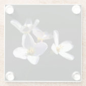 カルダミンプラテネシス花coastercnm ガラスコースター (裏面)