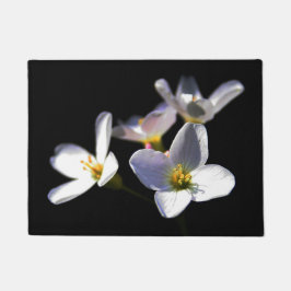 カルダミンプラテネシス花dmcnm ドアマット