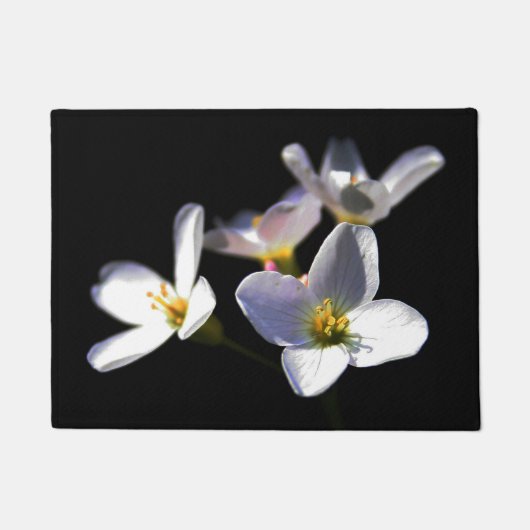 カルダミンプラテネシス花dmcnm ドアマット (正面)