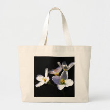 カルダミンプラテネシス花jtcnm