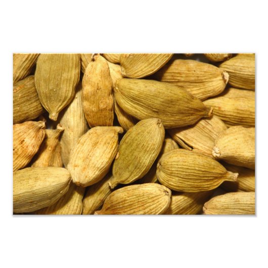 カルダモスポッド フォトプリント            (正面)