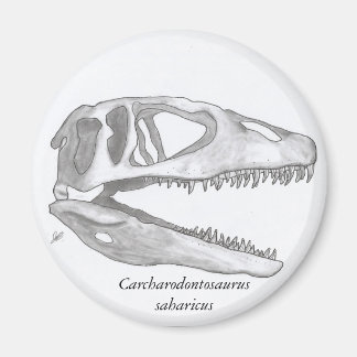 カルチャロドントサウルススカル磁石 マグネット