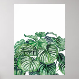 カルテアオービフォリア ポスター